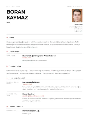 Şoför CV Örnekleri: Deneyim ve Beceri Yazımı cv indir